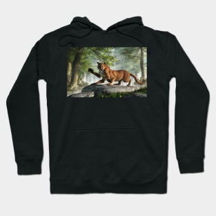 The Wampus Cat Hoodie